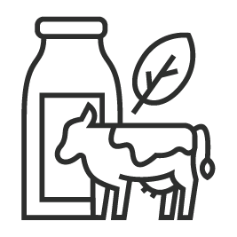 work-icon