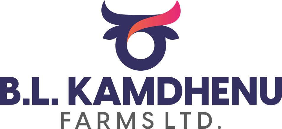 logo-icon